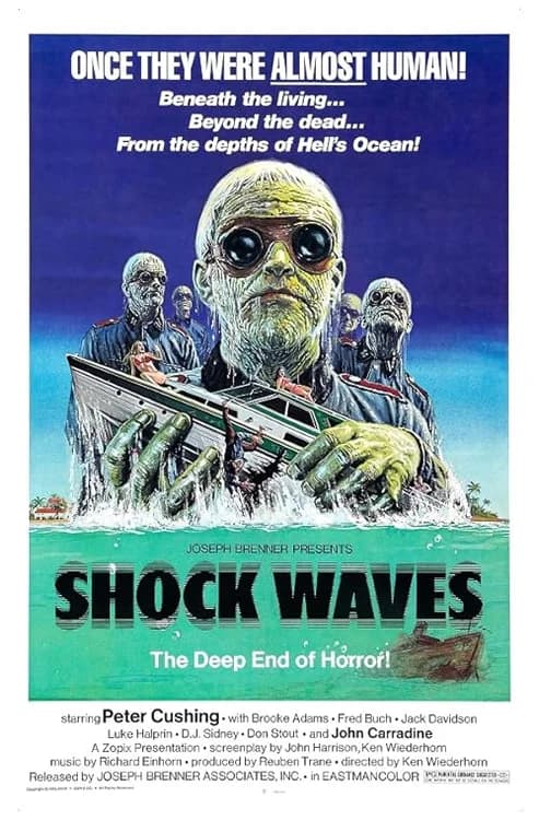 Shock Waves film posteri