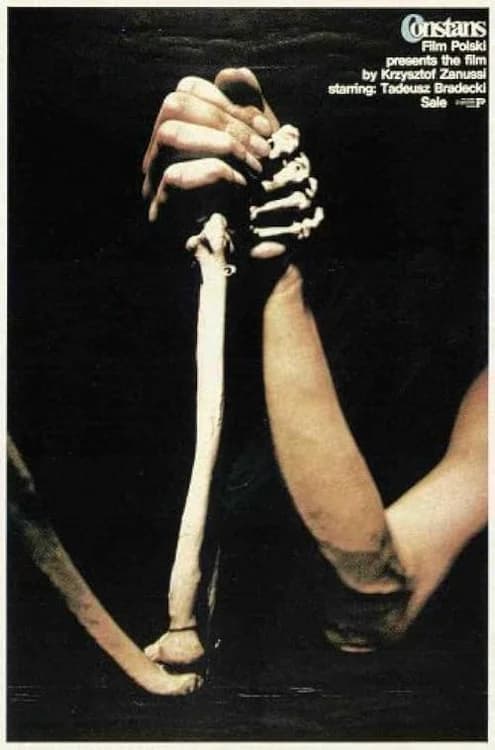 The Constant Factor film posteri